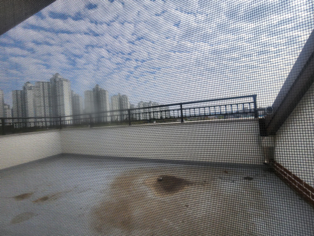 20260417_160105.jpg